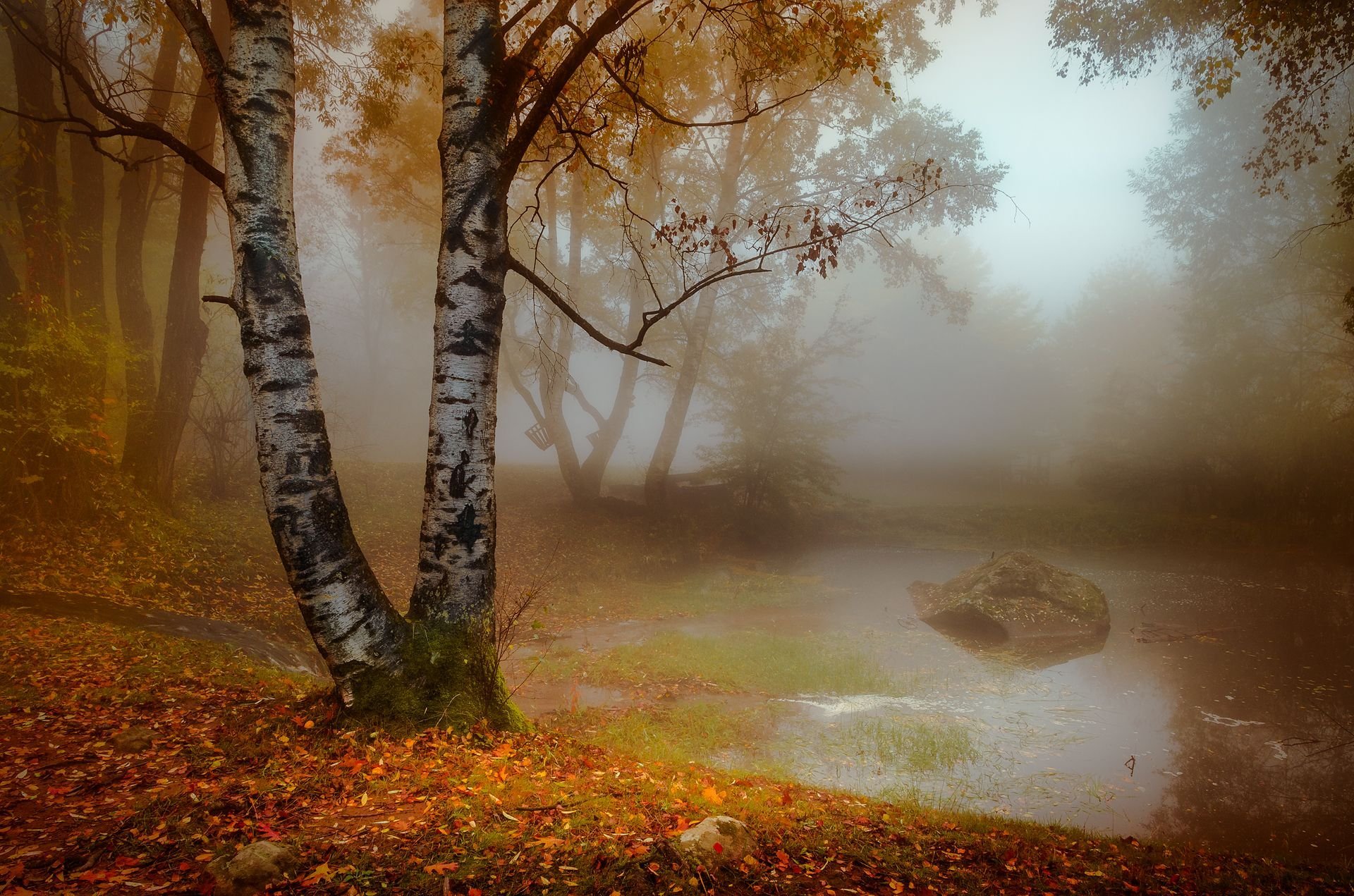 Осенние холодные туманы. Осенний пейзаж. Утренний осенний пейзаж. Осеннее утро пейзаж. Осенний туман.