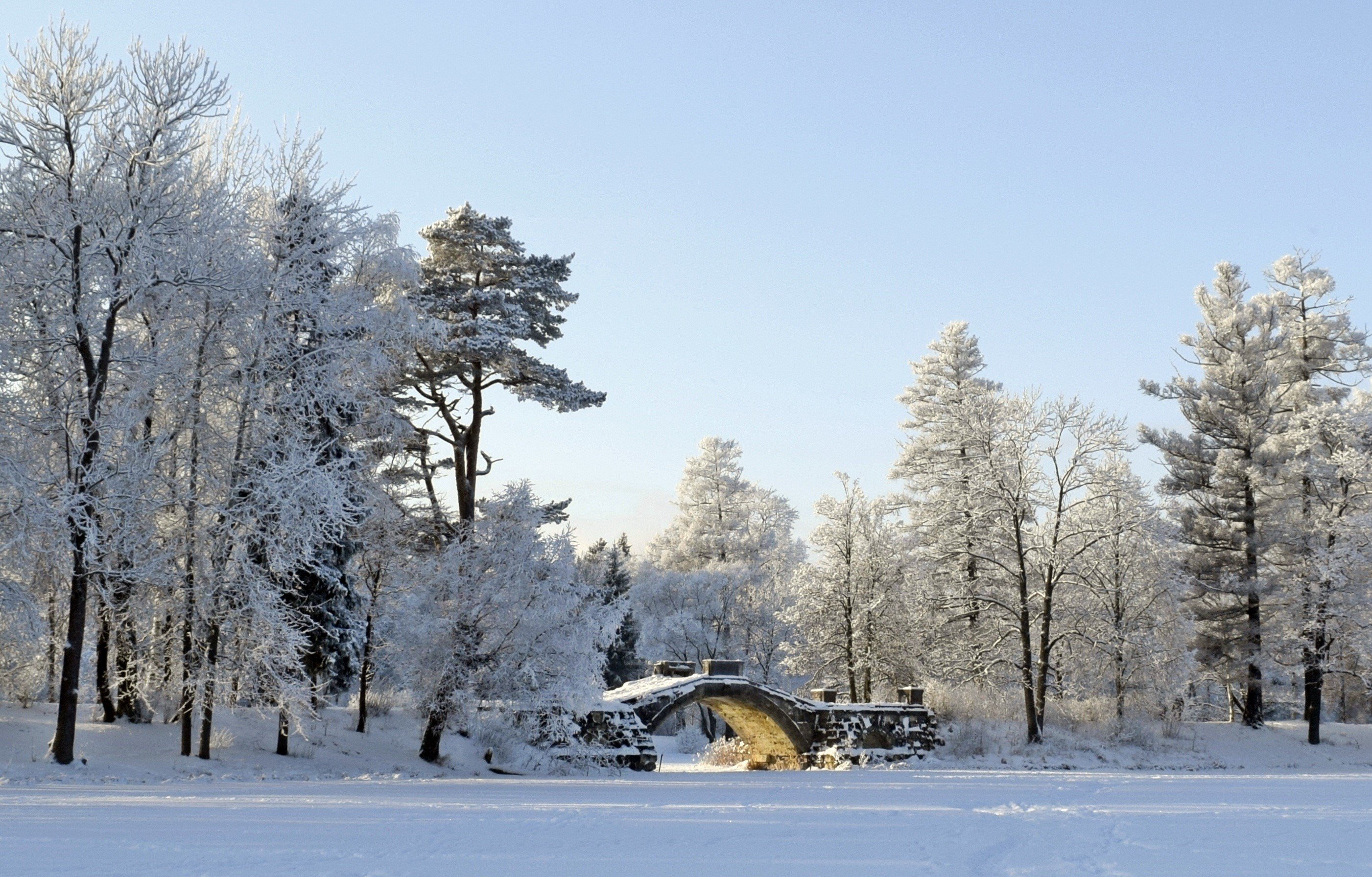 шуваловский парк зимой