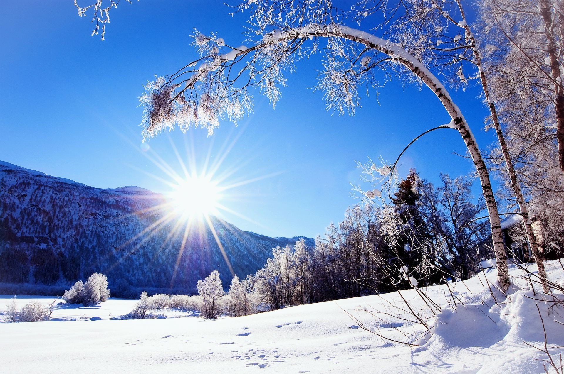 Доброе зимнее солнечное утро (55 фото) - 55 фото