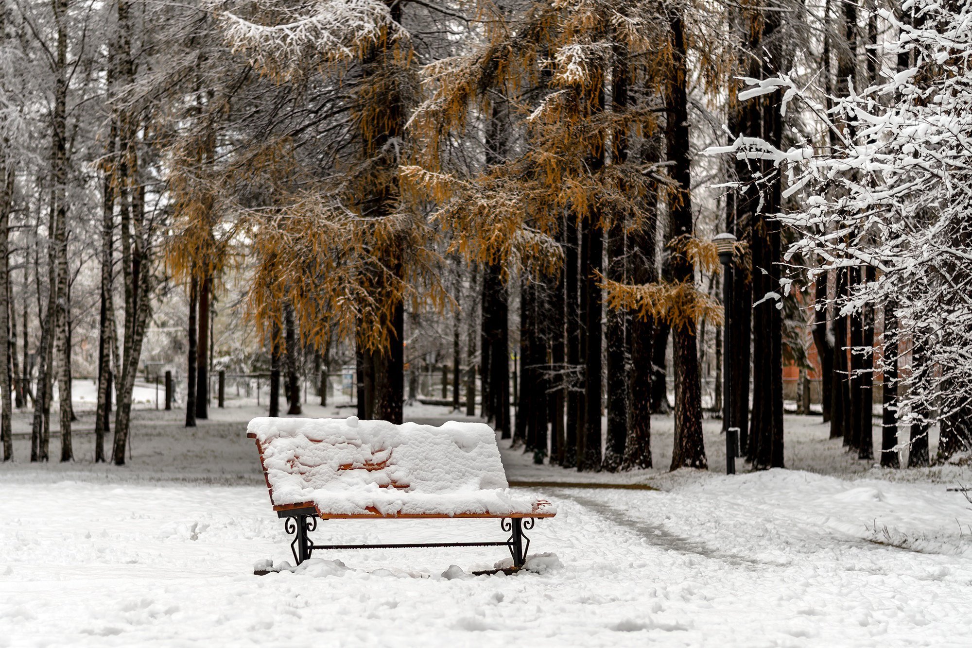 Парк Пушкина Лысьва зима