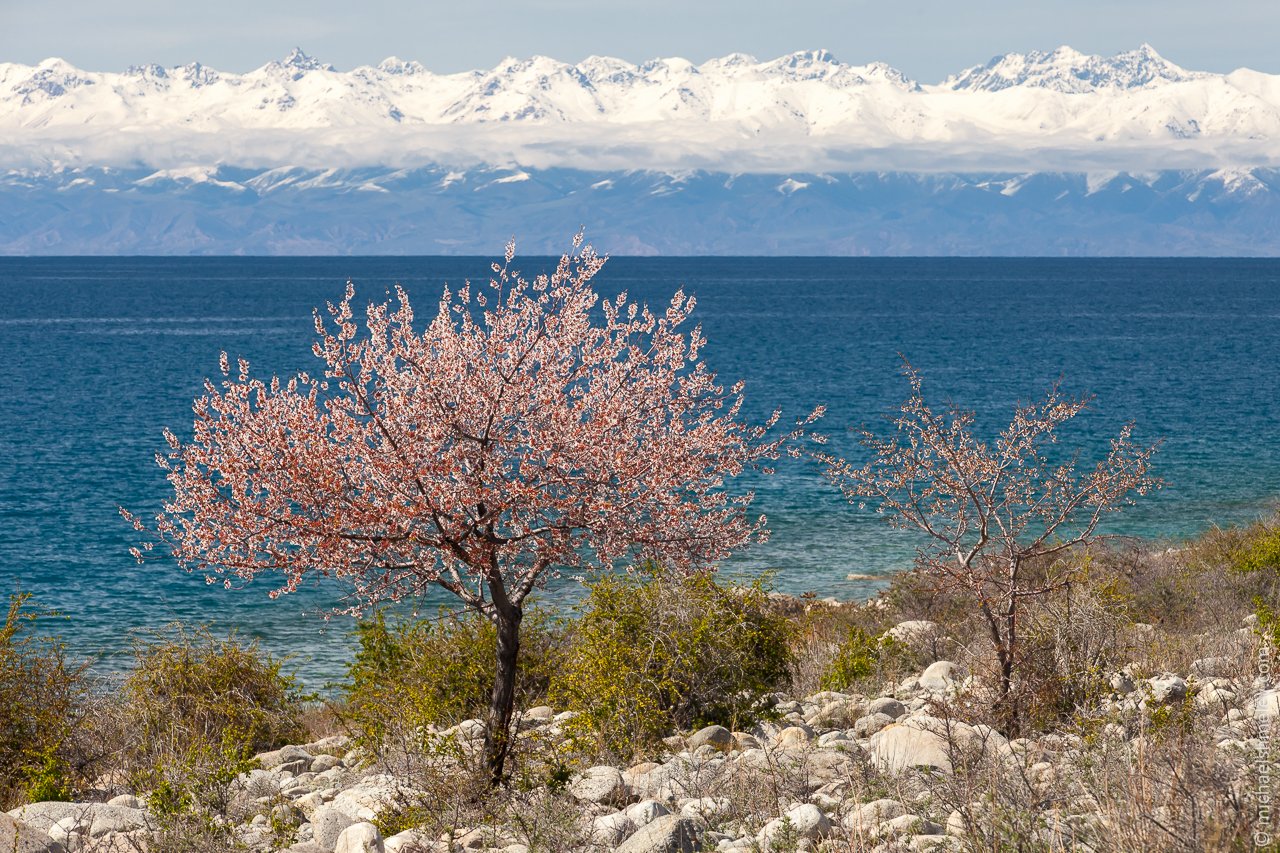 озеро иссык куль зимой