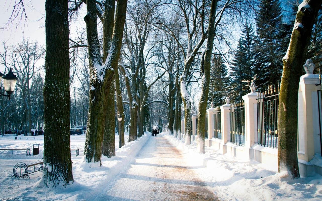 парк культуры зимой
