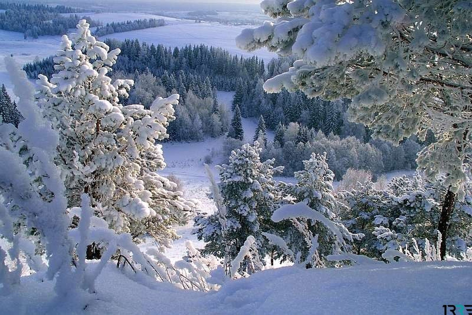 Родной край зимой. Баргузинский заповедник зима. Баргузинский заповедник зимой. Зимний лес. Природа Урала зимой.