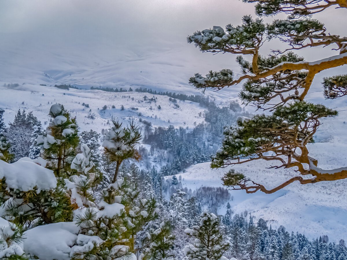 Лагонаки панорама