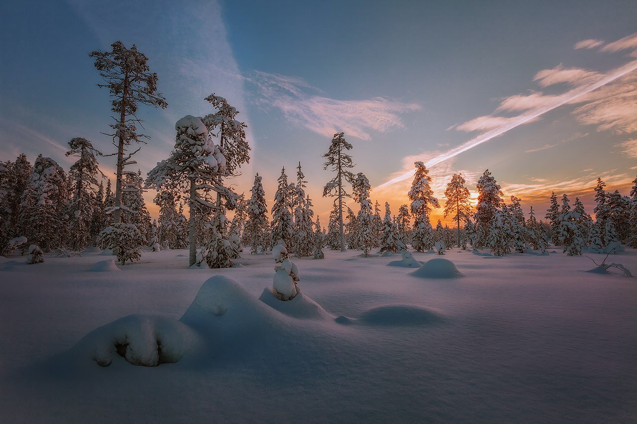Мурманск природа зимой