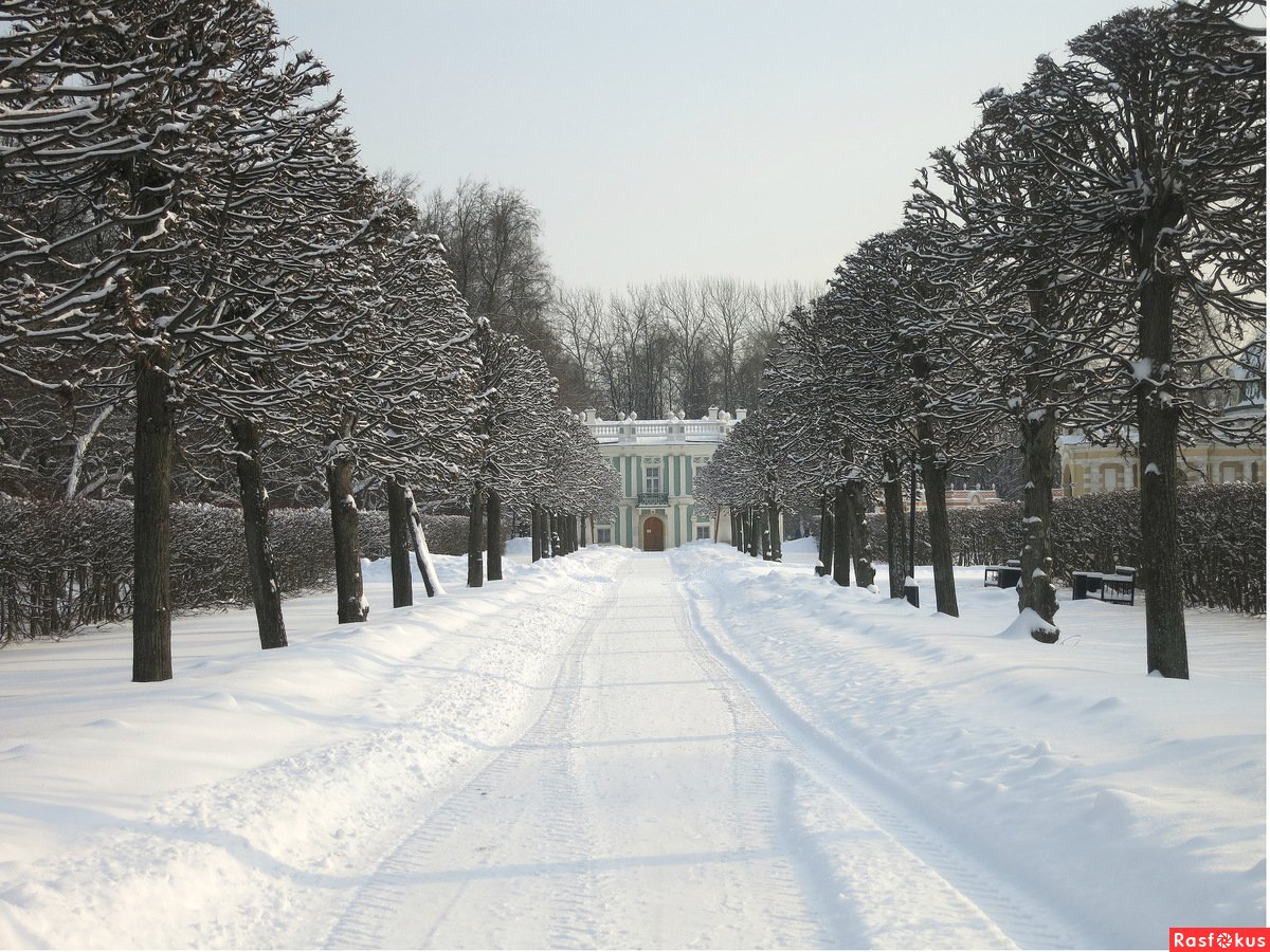 парк в кусково зимой