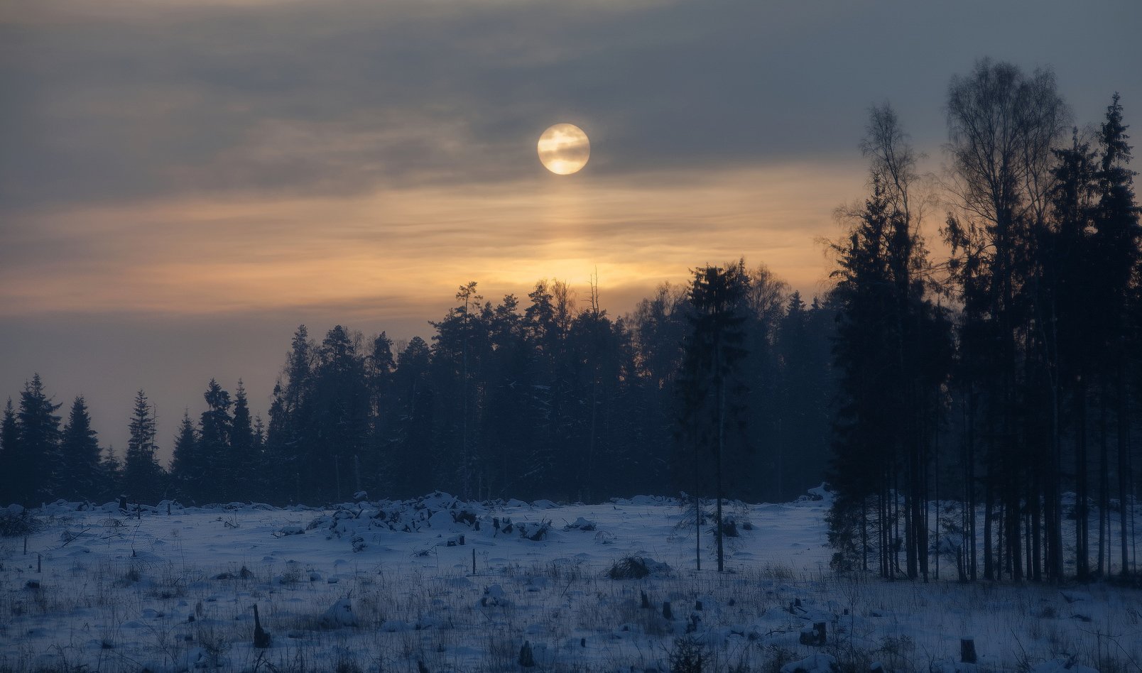 Под небом мертвенно. Луна над лесом зимой. Луна над лесом. Полная Луна над лесом. Пейзаж Луна над лесом.