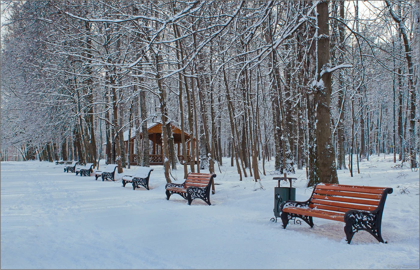 тропаревский парк зимой
