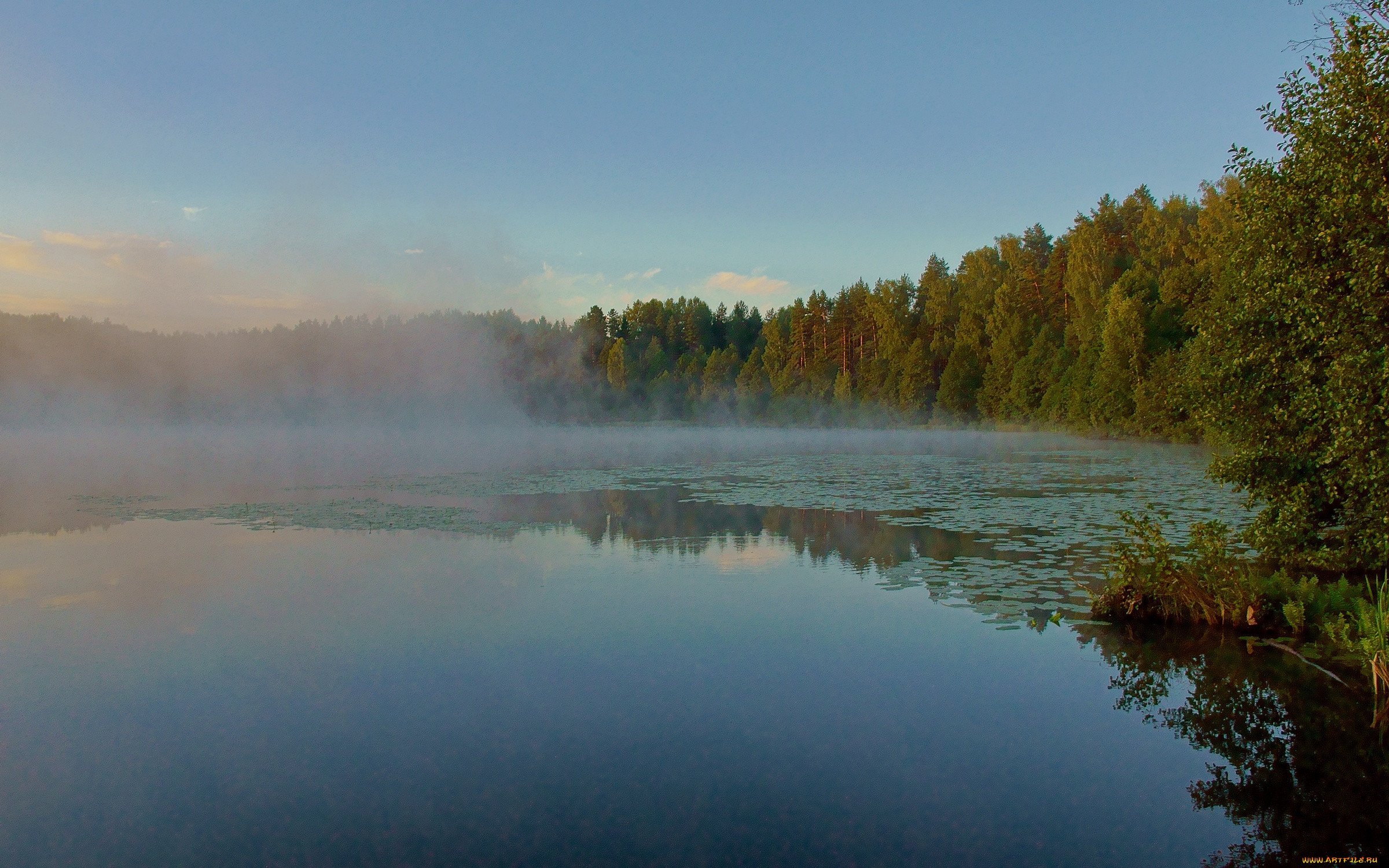 Озеро светлояр фото под водой