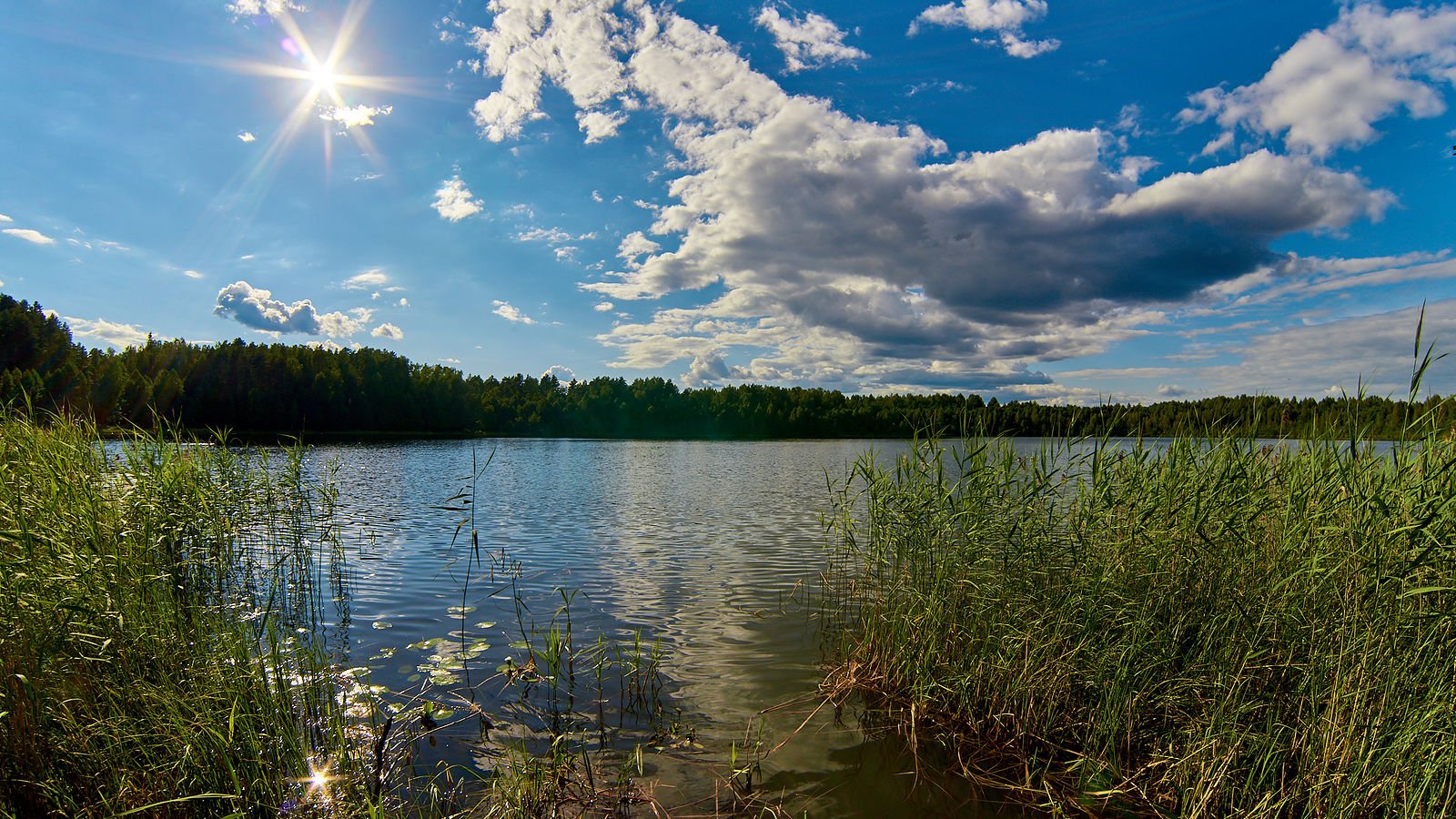 Озеро Китеж Нижегородская область