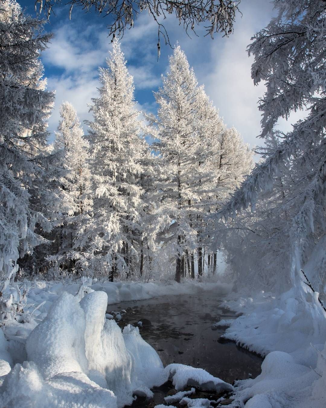 Красота зимнего леса. Зимний лес. Зимняя красота. Красивый зимний лес. Сказочный зимний лес.