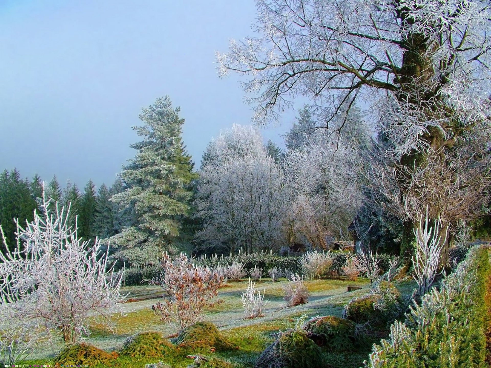 Английский сад зимой (54 фото) - 54 фото