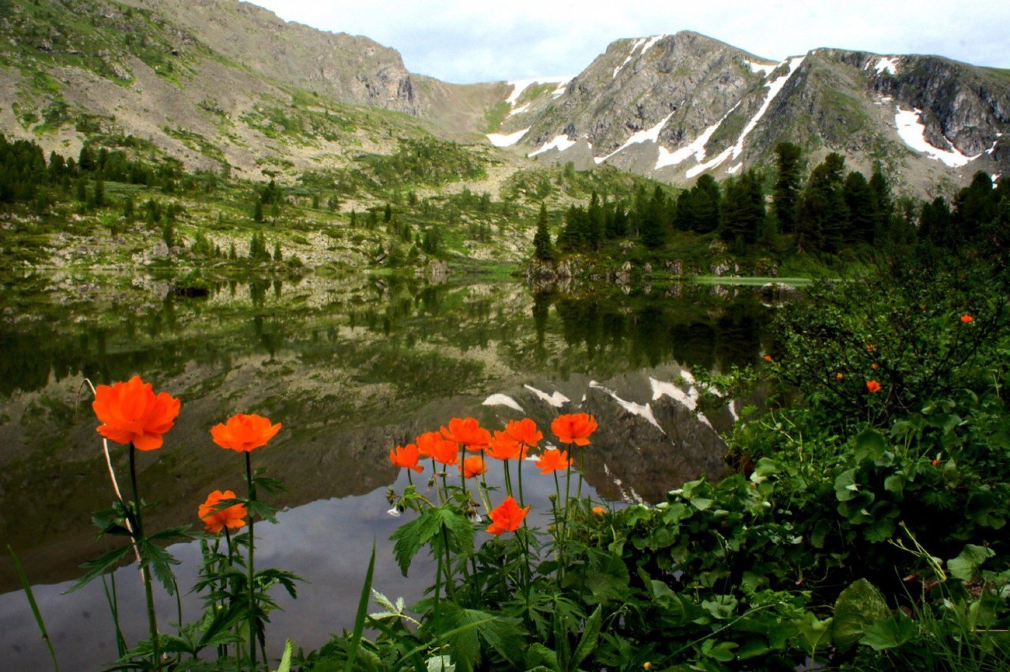 Алтай летом фото