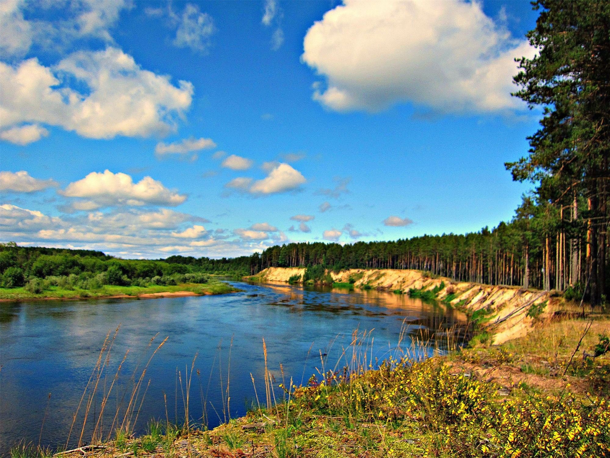 Река Чагода Вологодская область