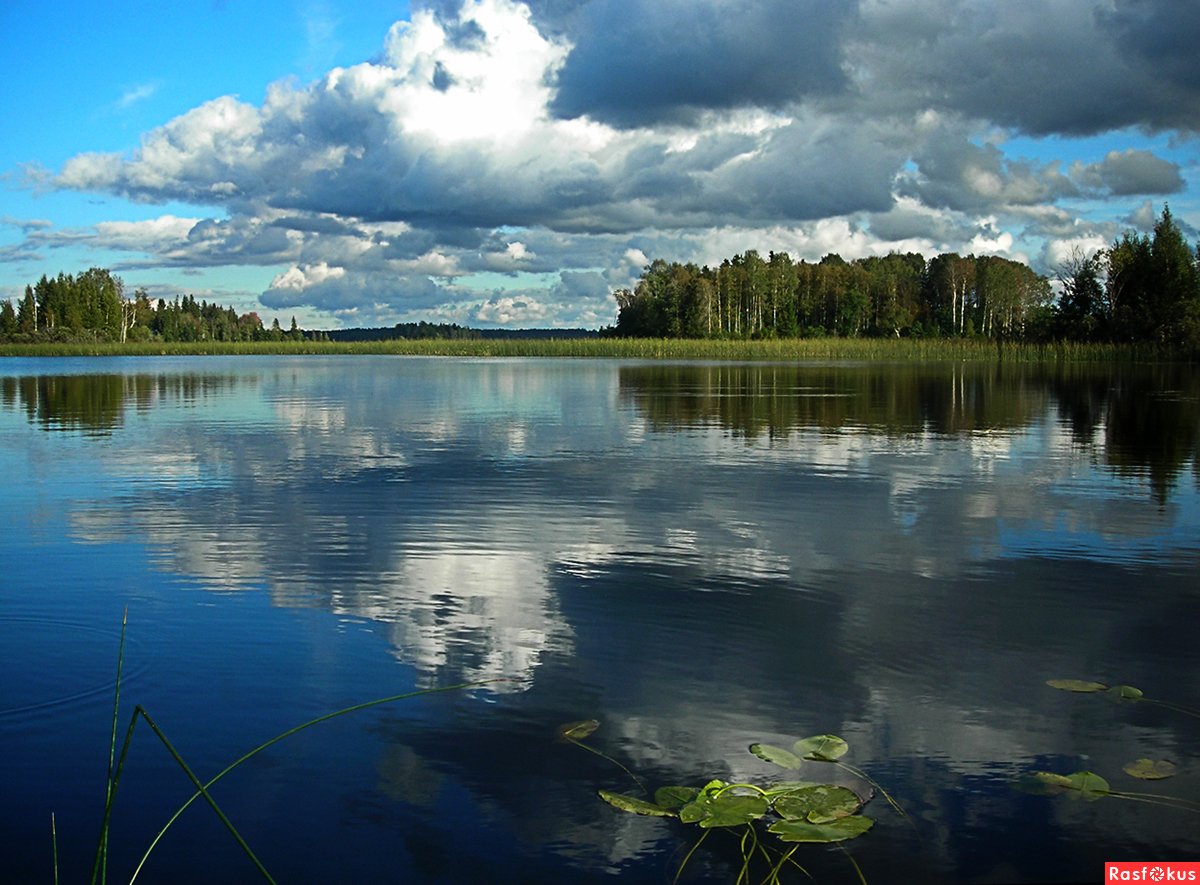 Озеро великое Тверская область