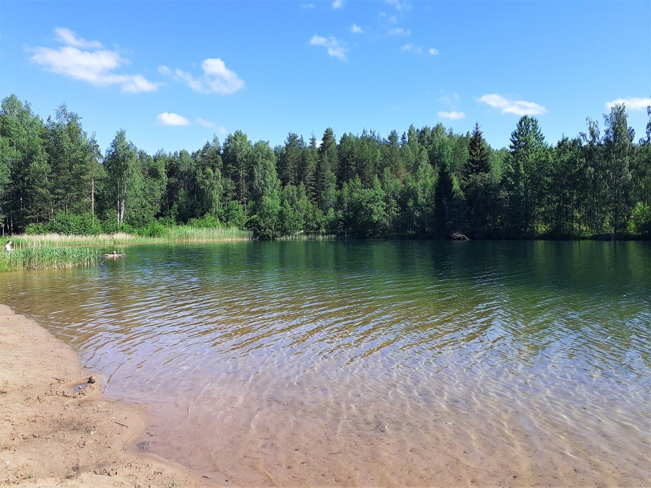 Белое озеро Ленинградской городское поселение