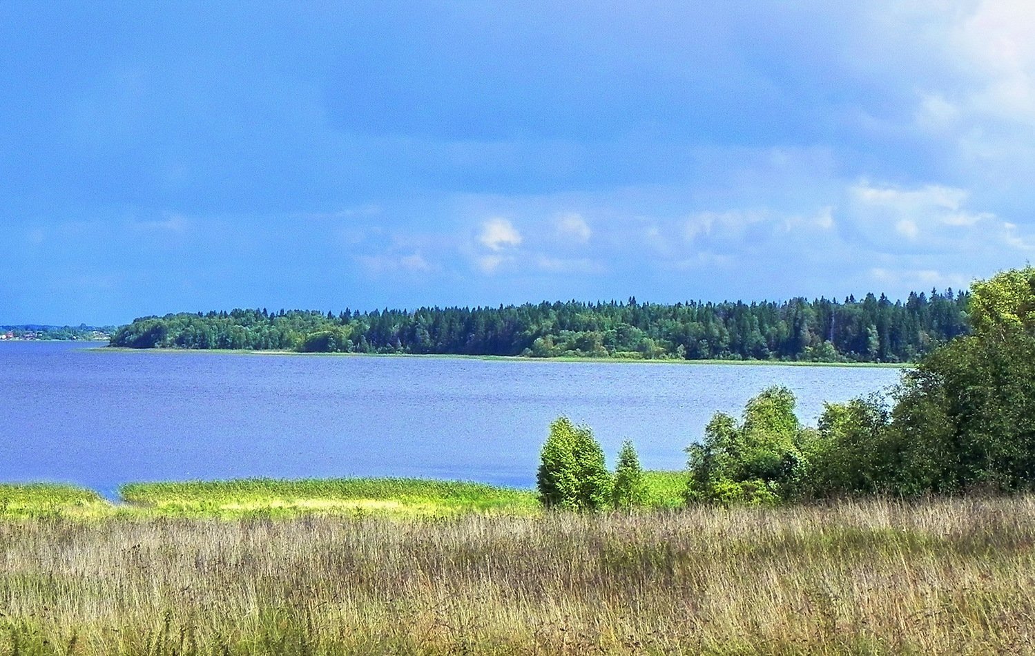 Озеро Рясивое Селигер
