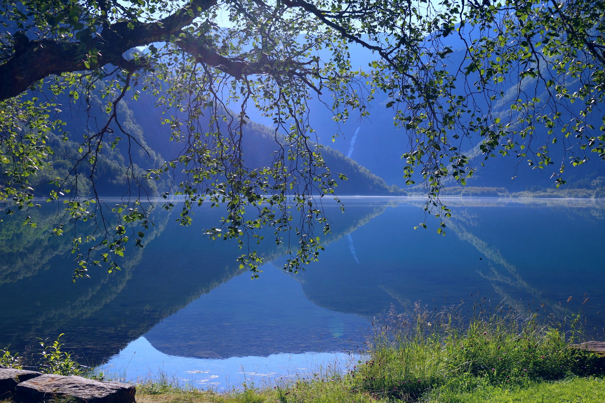 Вода озеро свет. Норвегия голубое озеро. У озера. Синева в природе. Дерево у воды.