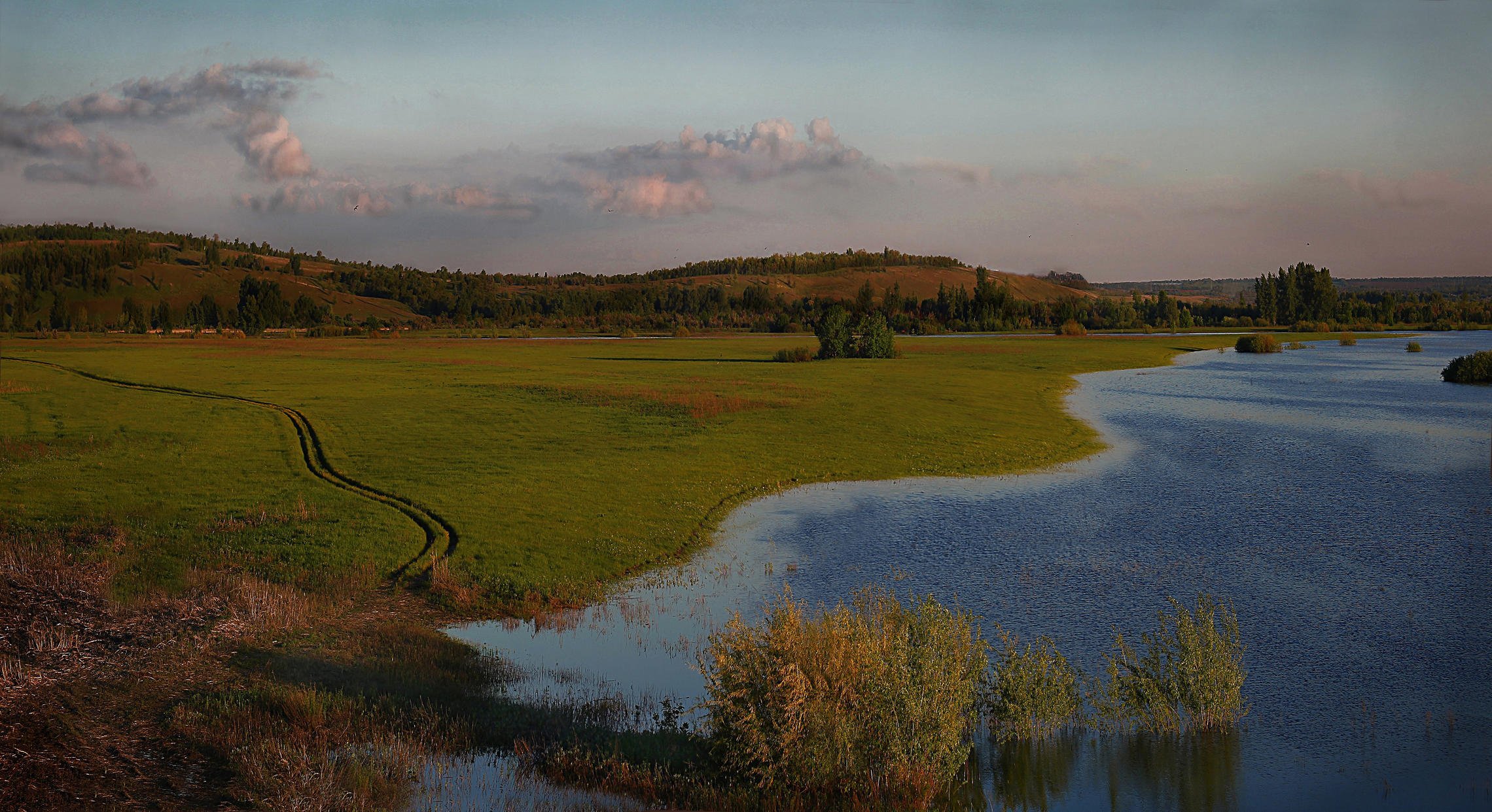 Данная река. Исток реки Самара. Исток реки Самарка. Смоленск заливные Луга Днепра. Пойменные Луга Самарской области.