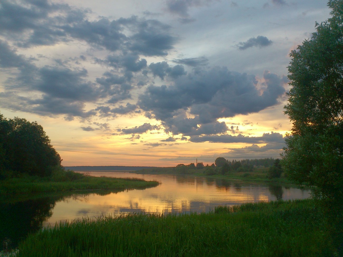Озеро природа Ярославль