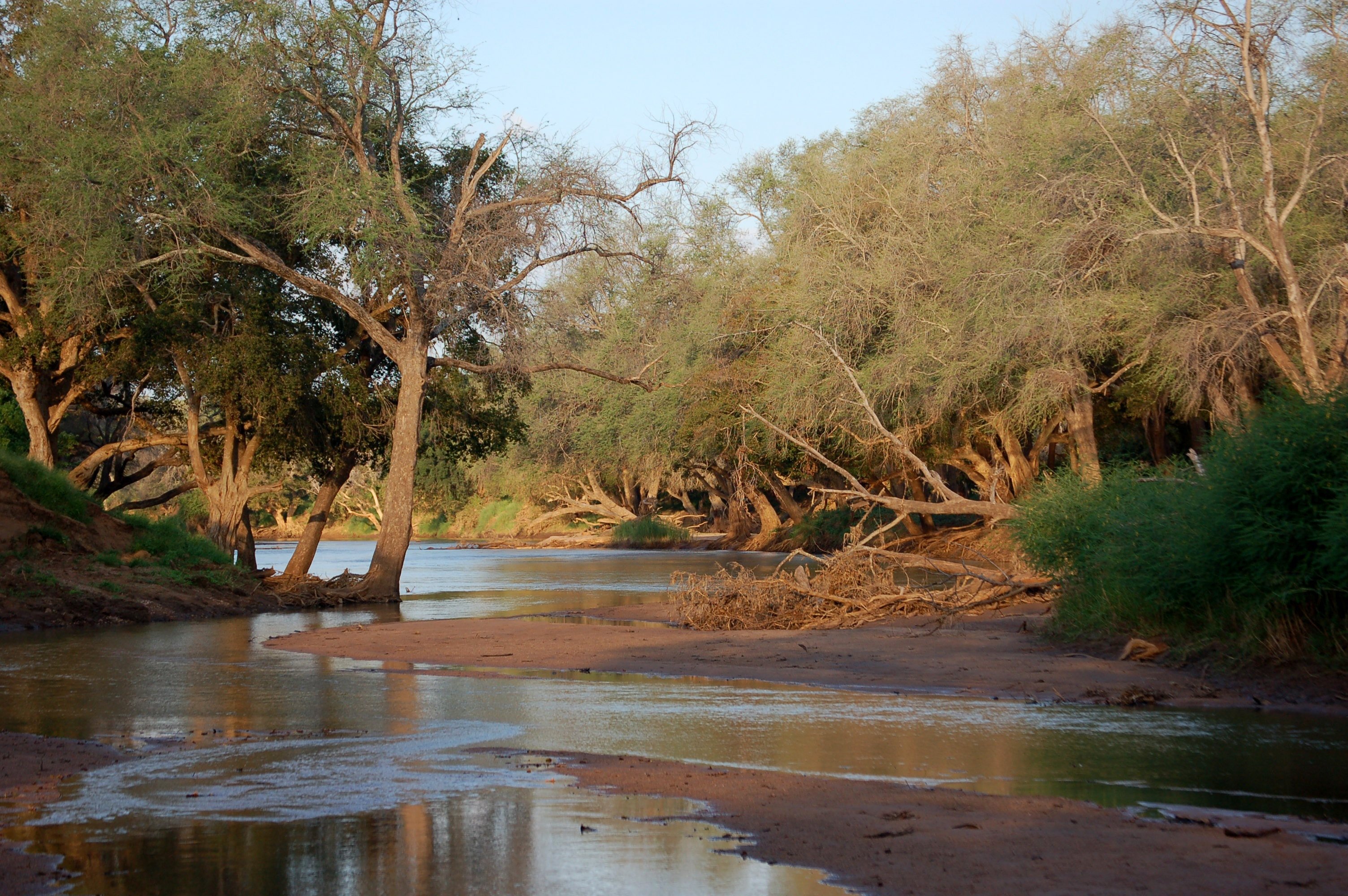 Реки и озера нигерии. Река Лимпопо ЮАР. Лимпопо река в Африке. Река Лимпопо Мозамбик. Ботсвана река Лимпопо.