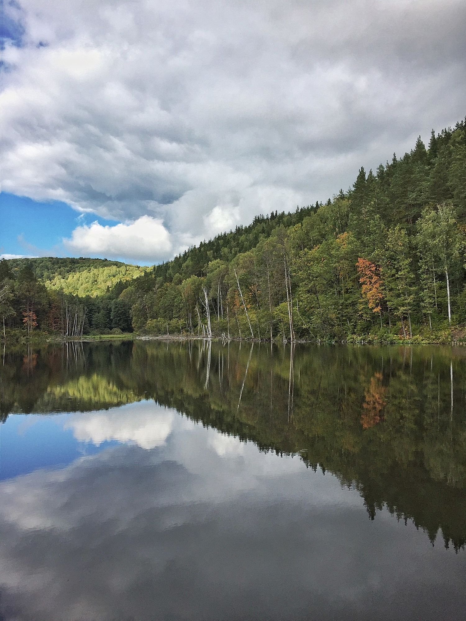 Сура мордовия. Река Сура в Мордовии. Сура Саранск река. Река Вьяс Пензенская область. Озеро Инерка.