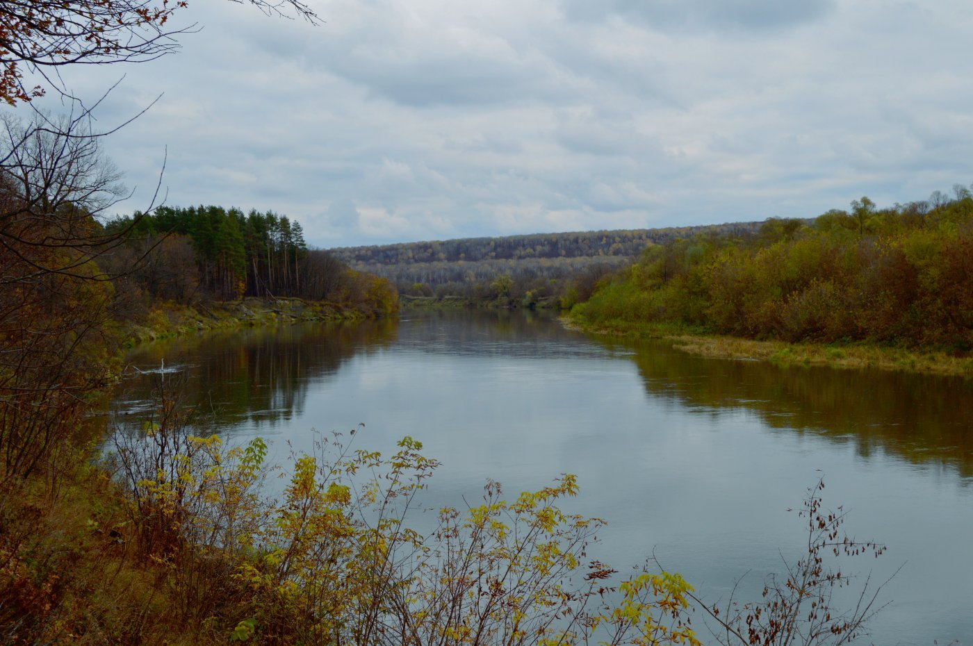 Сура мордовия. Река Сура в Мордовии. Сура река Мордовия Сабаево. Сура Саранск река. Река Сура в Чувашии.