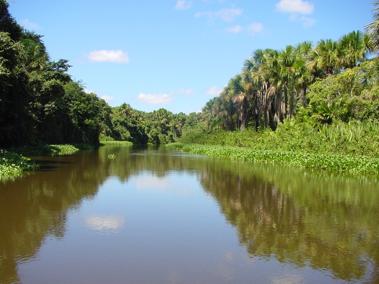 Реки и озера венесуэлы. Дельта Ориноко Венесуэла. Река Ориноко Южная Америка. Дельта реки Ориноко. Река Амазонка Ориноко.
