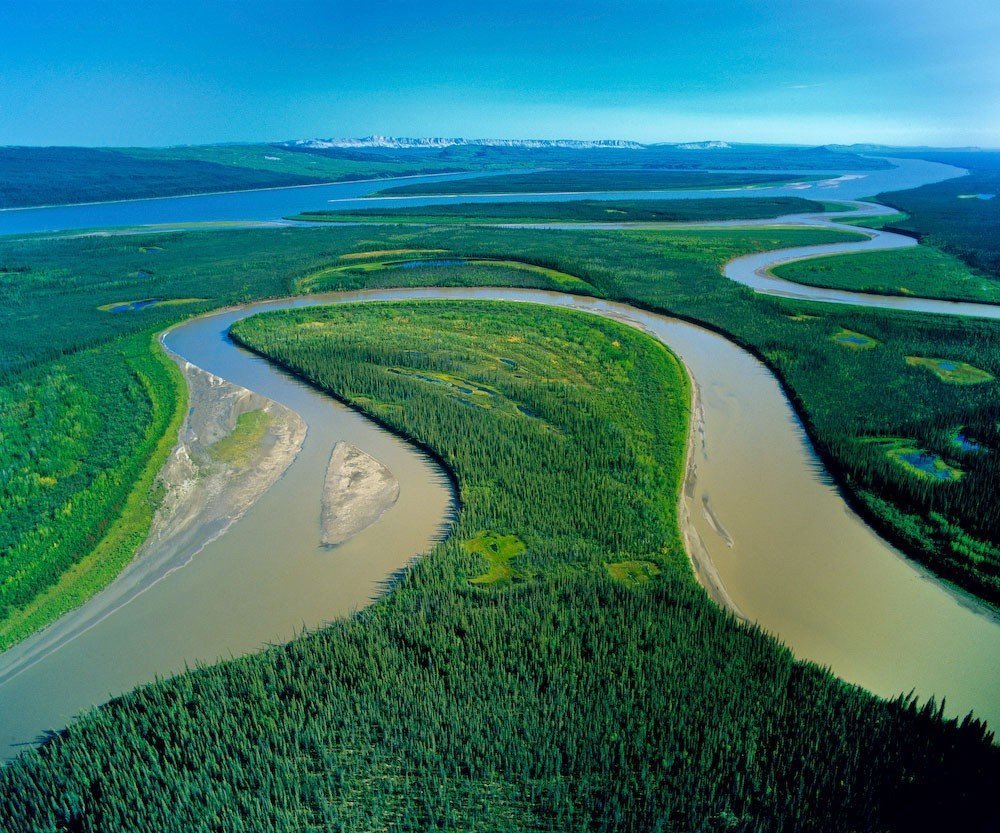 Самая длинная река в мире. Река Маккензи Канада. Устье реки Маккензи. Амазонская низменность. Река Маккензи Северная Америка.