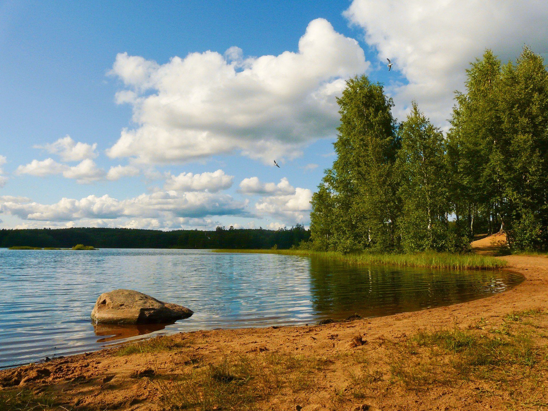 Раздолинское озеро Ленинградская область