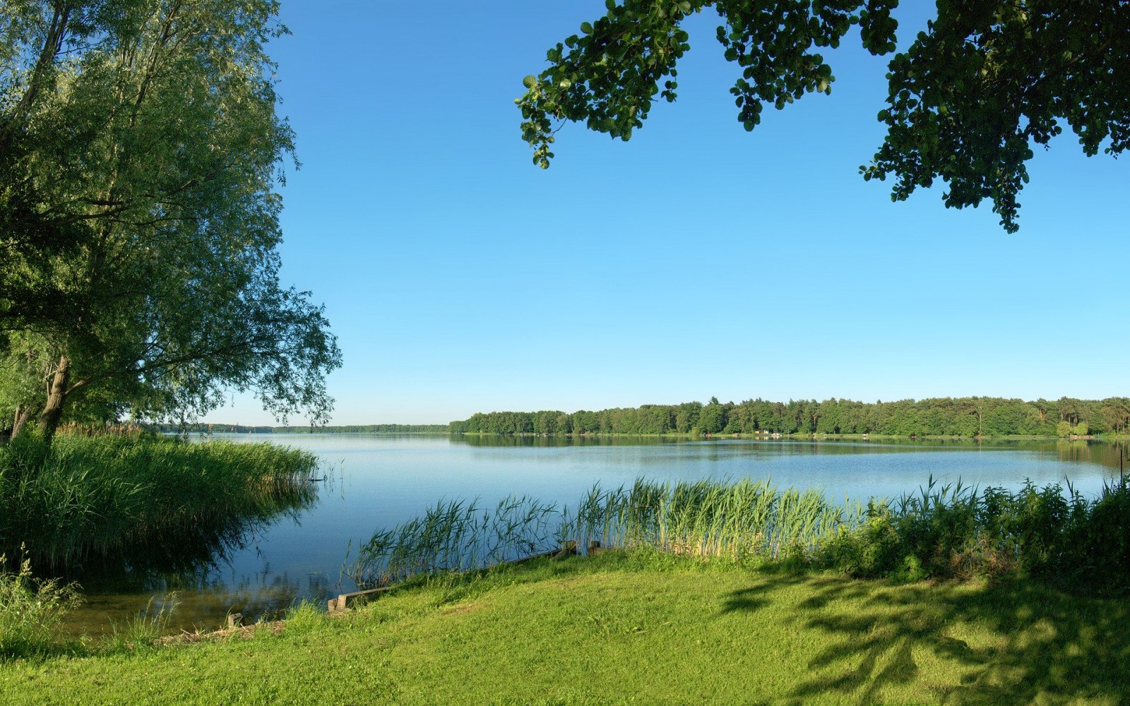 Все ли на озере. Озеро Кипень. Озеро Кипень Ленинградская. Кипень озеро пляж. Хотомля (озеро).