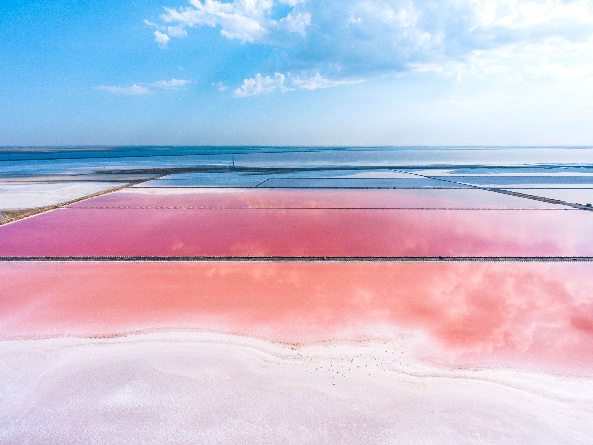 Розовое озеро сиваш. Сасык Сиваш озеро. Розовое озеро в Крыму Сасык Сиваш. Озеро соленое Сасык Евпатория. Озеро Сасык-Сиваш, Крым, Евпатория.