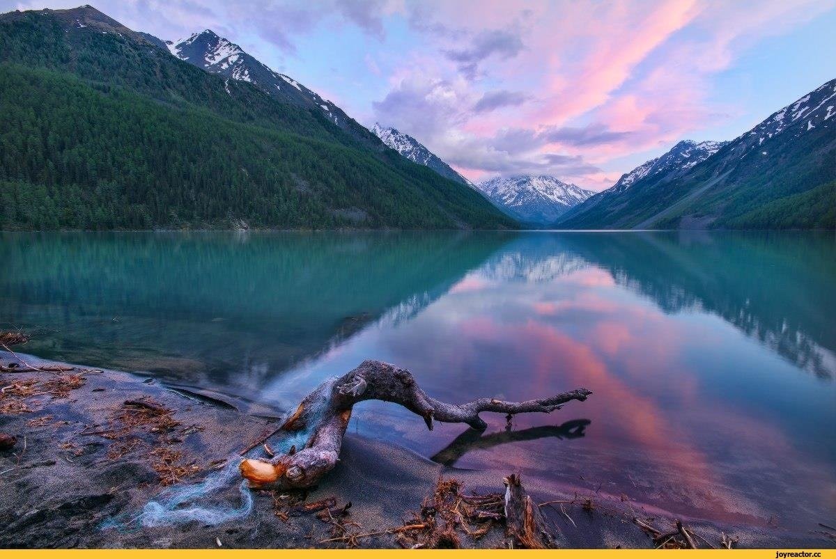 Красивый край. Кучерлинское озеро Алтай. Озеро Айрыкель Алтай. Кушеринсие озера Алтай. Кушалиноское озеро Алтай.