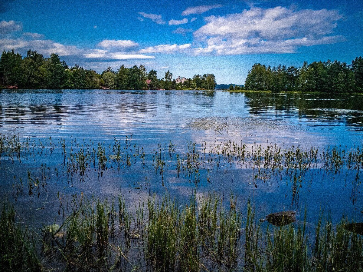 озеро в токсово