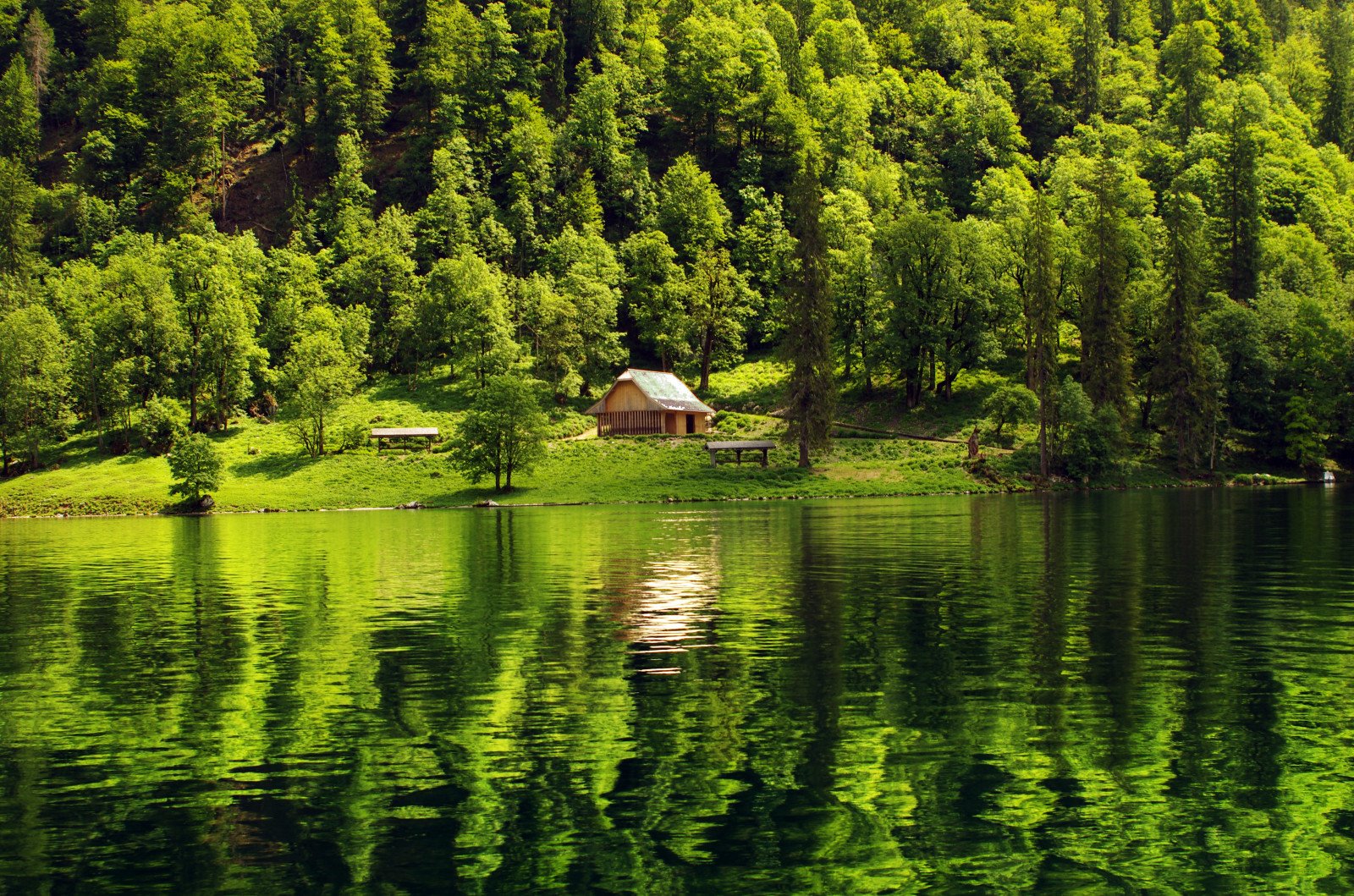 Лесное озеро Сыростан домики