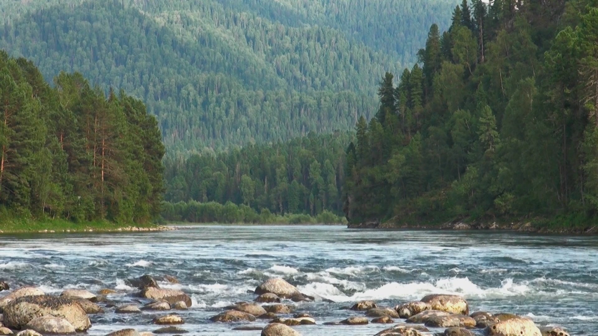 Река лебедь фото горный алтай