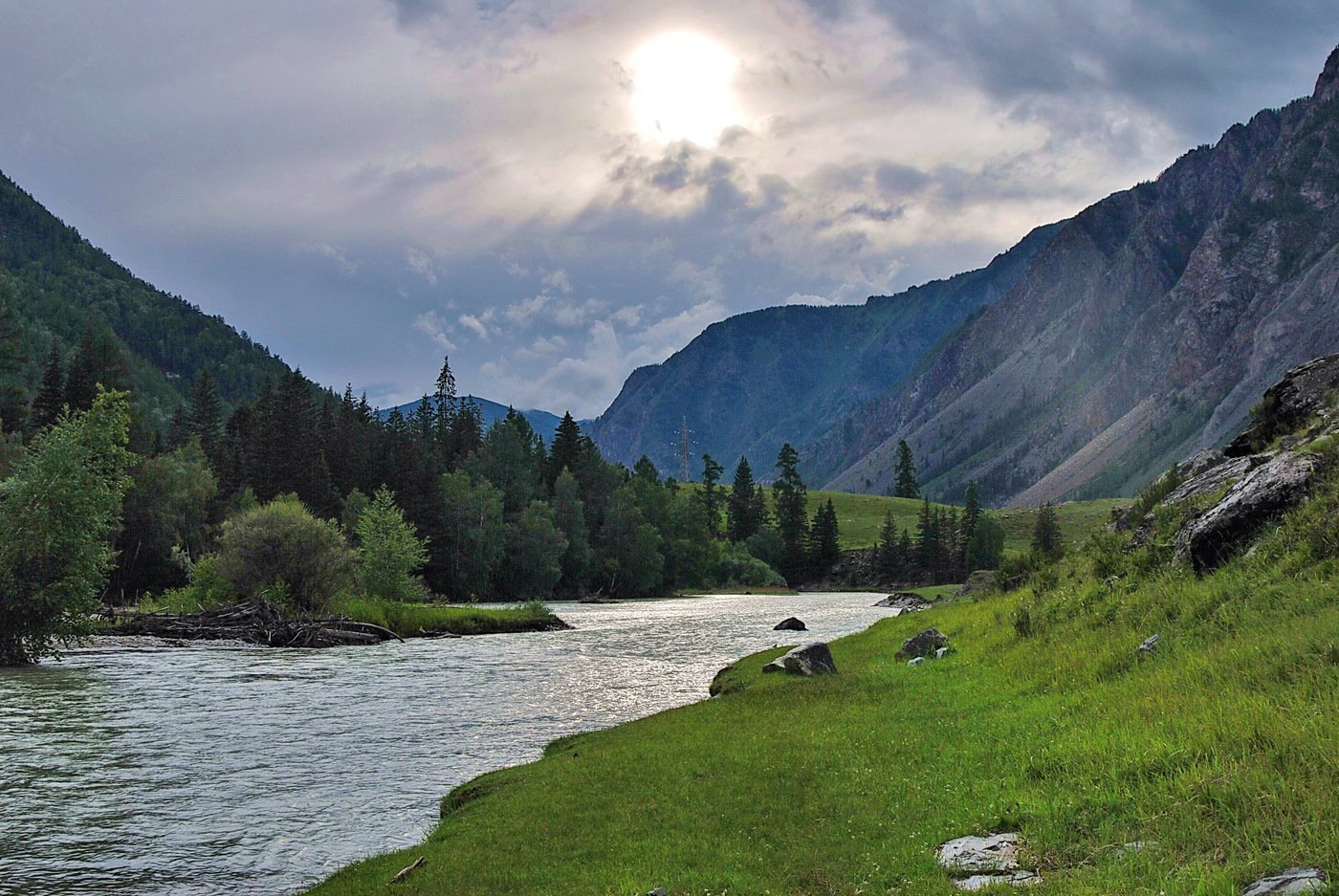 Узнезя горный алтай фото