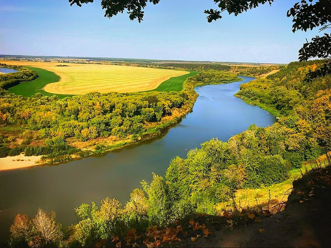 Воронежская природа. Река Дон Кривоборье. Урочище Кривоборье. Кривоборье Воронежская область Рамонский район. Река Дон. Кривоборье Рамонь, Воронежская область.