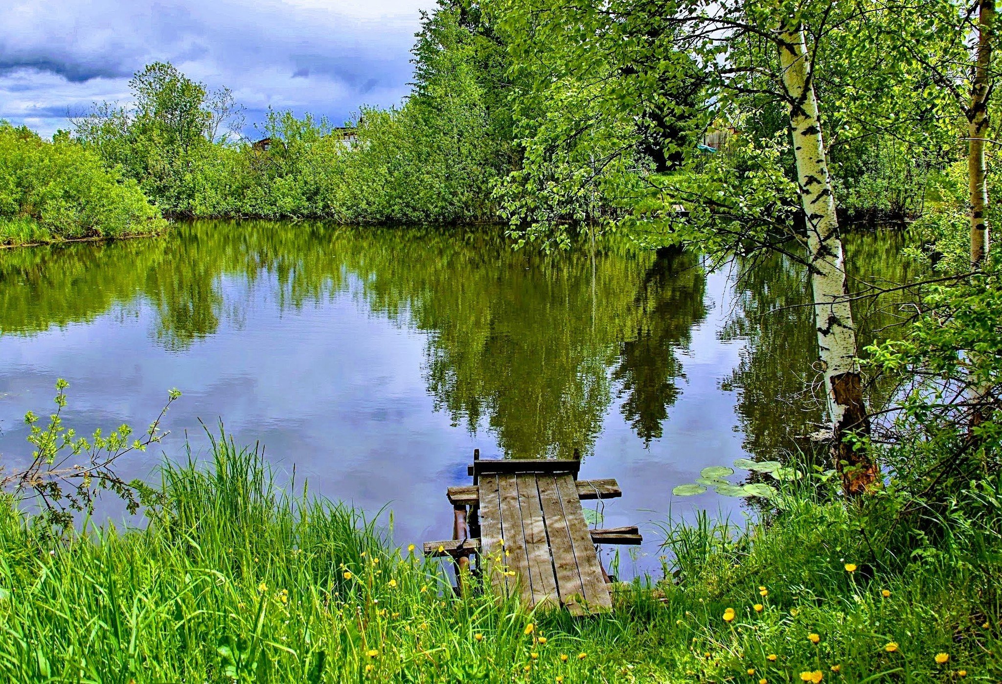 Русские летом на речке. Природа деревня речка Березки. Прудик речка мостик.деревня.