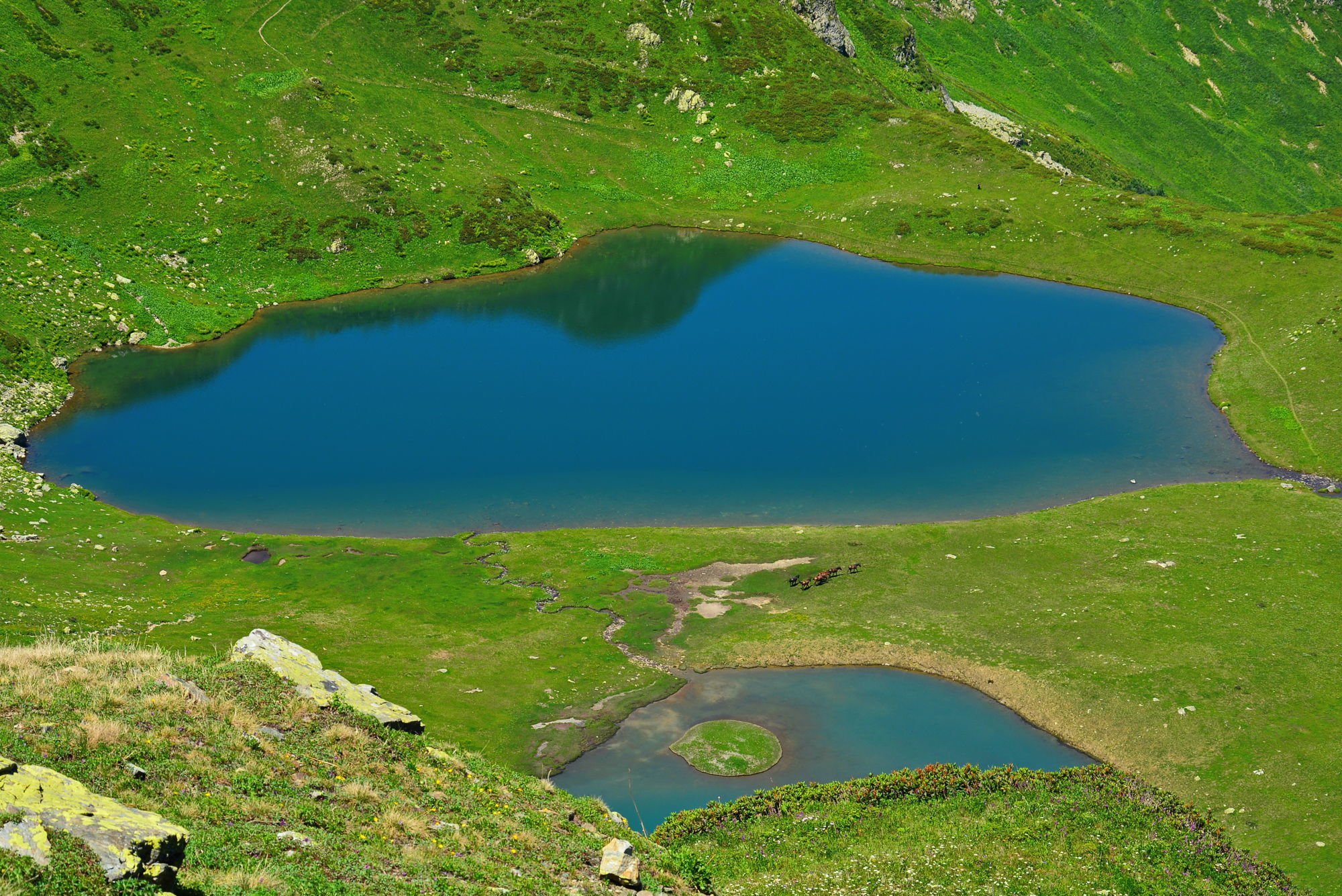 Своими семью озерами. Долина семи озер Абхазия. Озеро Чхы Абхазия. Долина 7 озер Абхазия экскурсия. Скурчинский заповедник Абхазия.