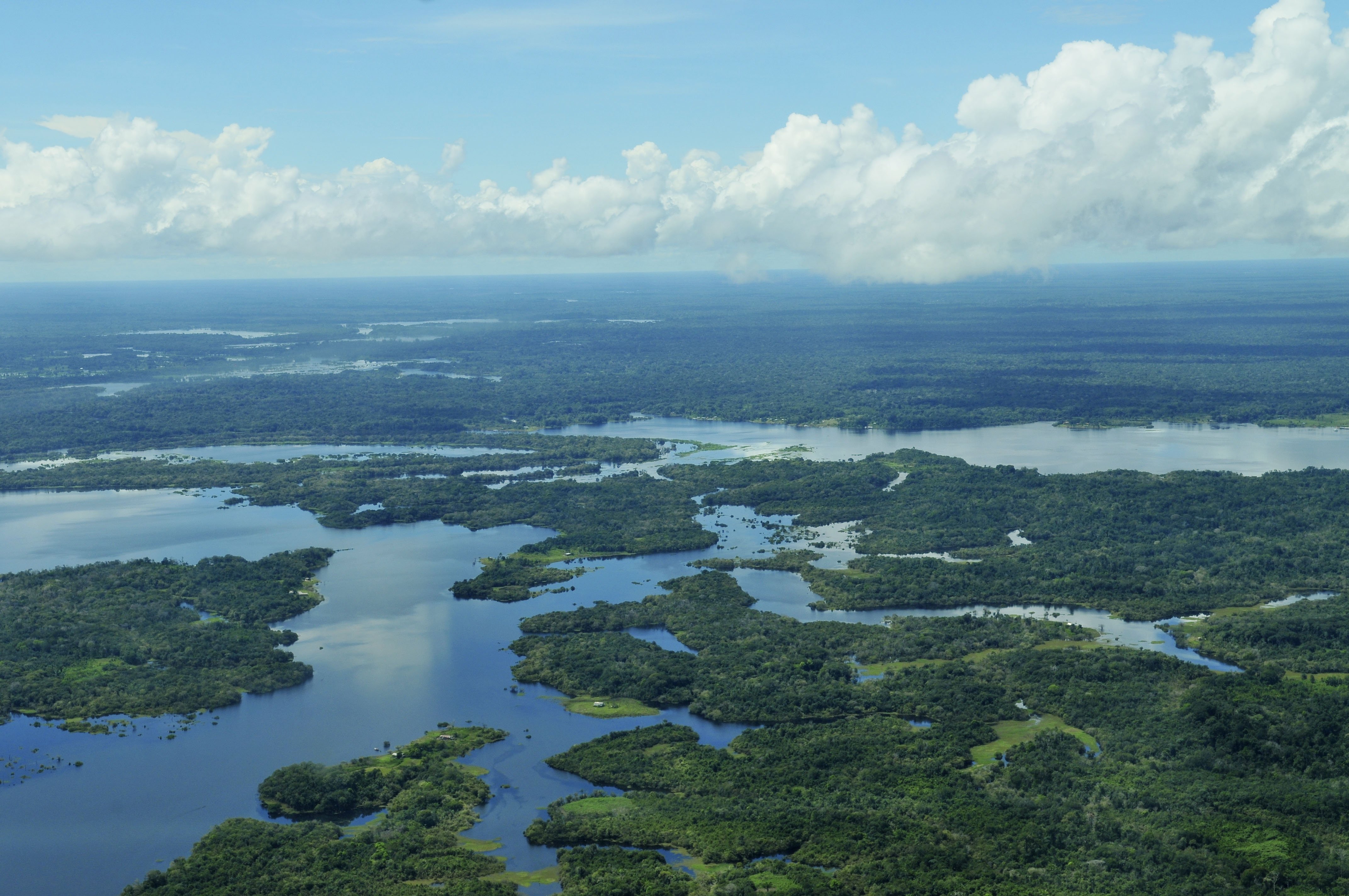 Самая полноводная река бразилии. Река Амазонка Ориноко. Амазонка река Укаяли. Южная Америка Амазонская низменность. Амазонка Укаяли Мараньон.
