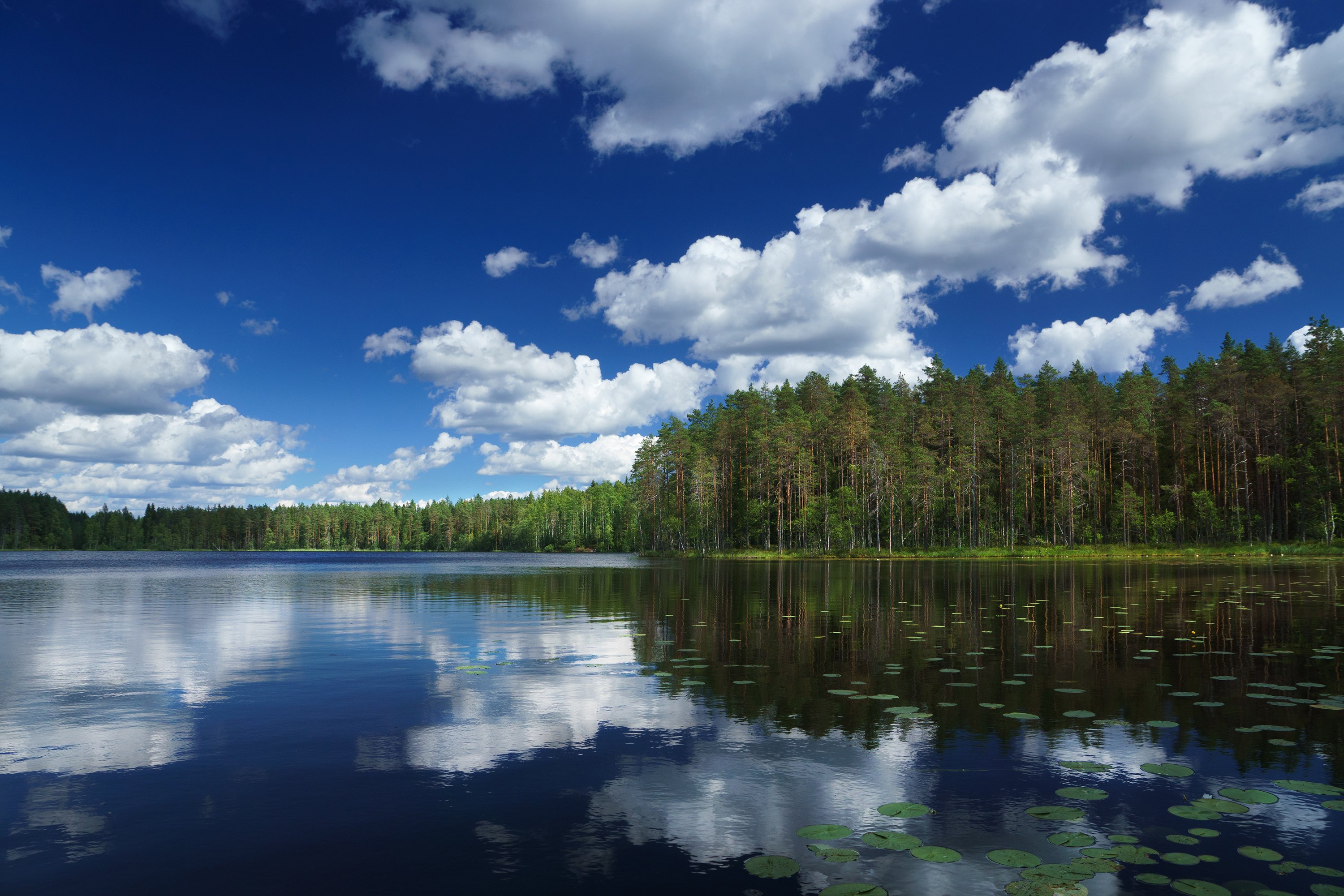 Гладышевское озеро Ленинградская область
