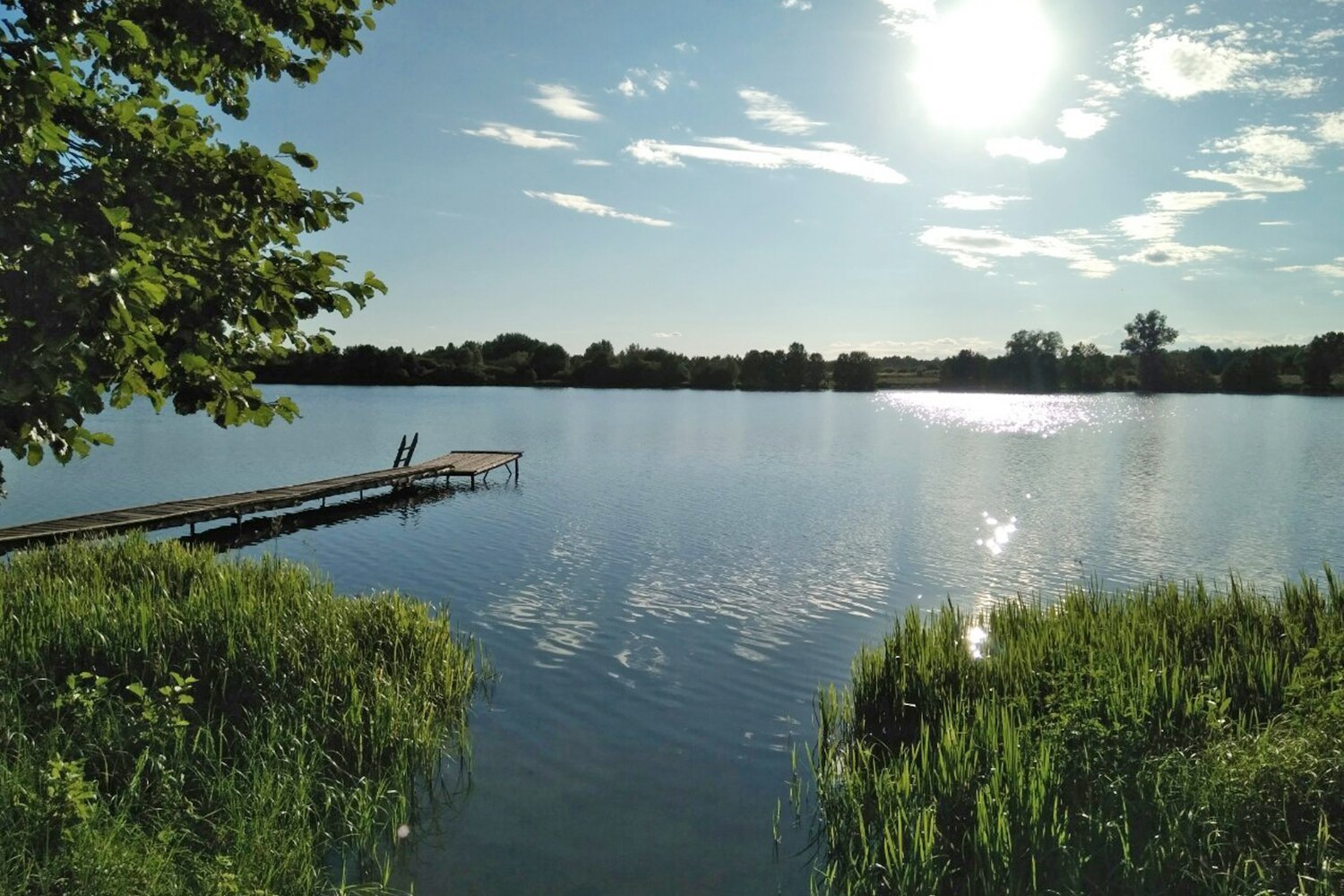 Белое озеро летом. Бордуковское белое озеро Шатура. Озеро белое Шатурский район. Озеро Муромское Шатура. Озеро Свиношное Шатурского.