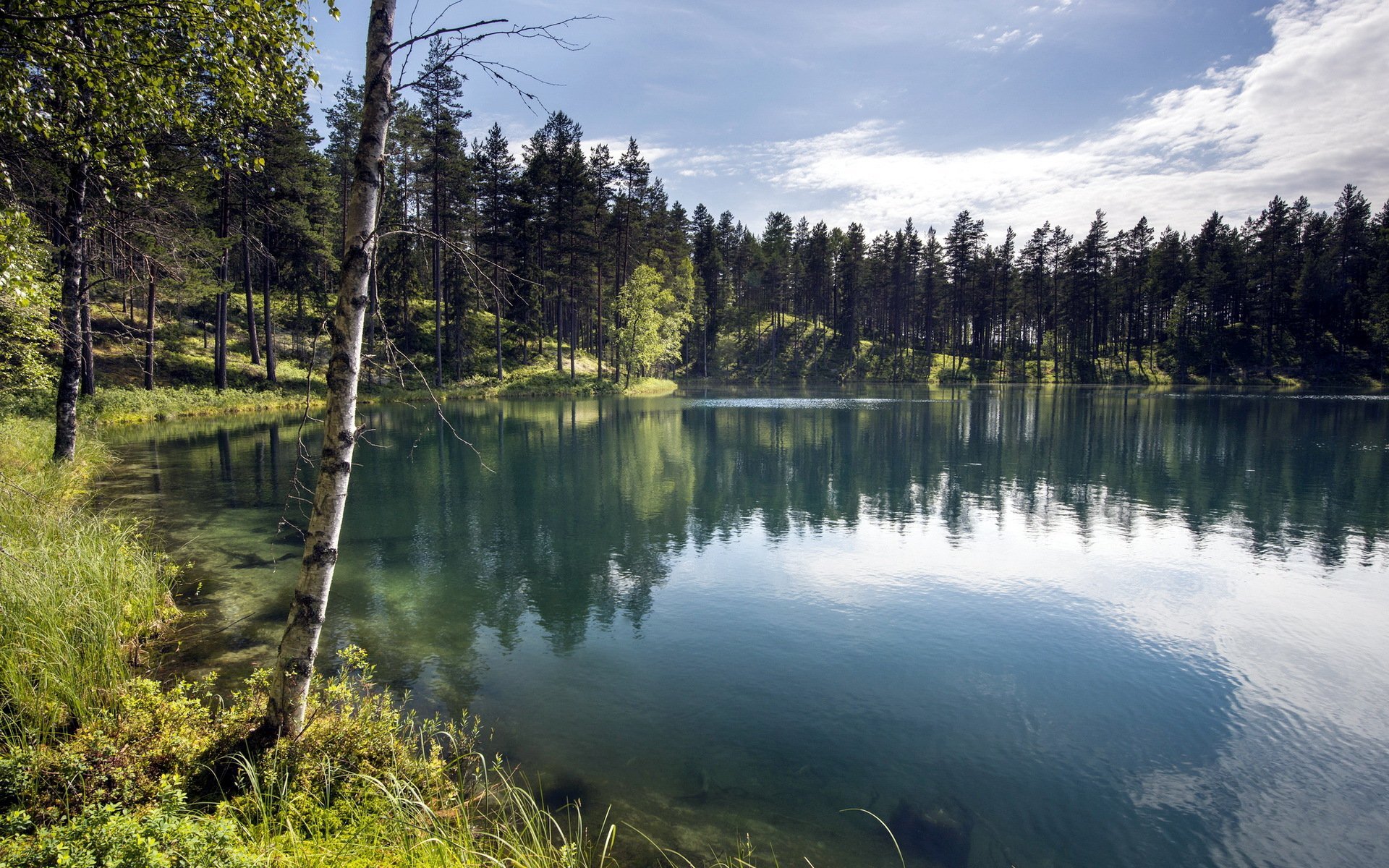 Озеро возле леса. Лесное озеро Солнечногорск. Семиозерье. Озеро Ликолампи Выборг. Лесное озеро (Forest Lake).