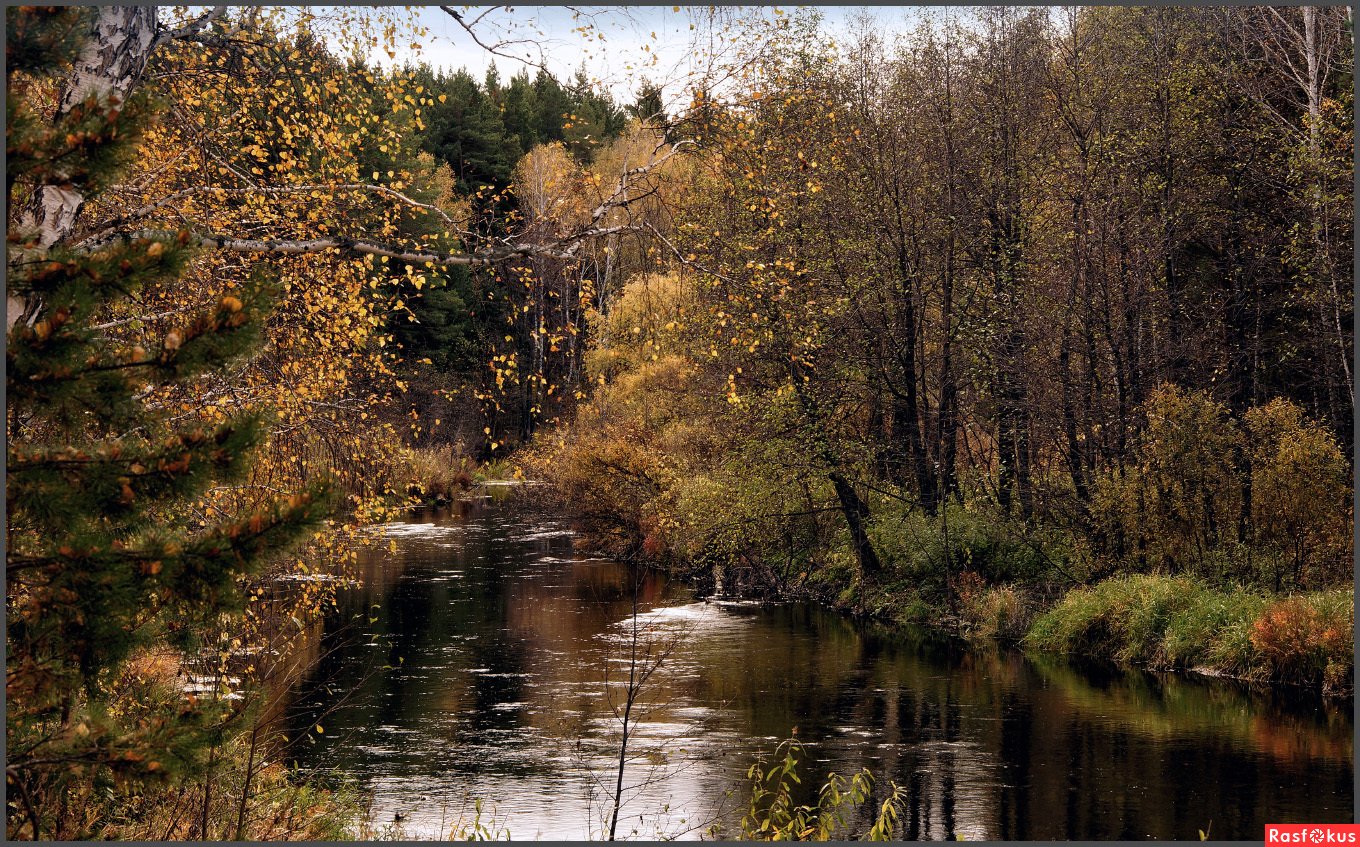 Реки радиации. Река Теча Челябинск. Теча река Катайск. Челябинские фотолюбители. Река Теча фото.