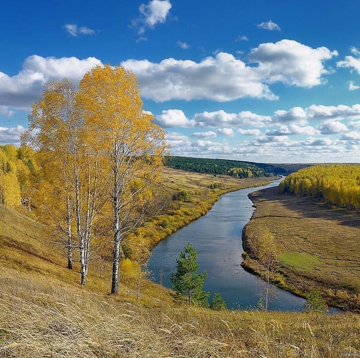 Родной река. Река Немда Кировская область. Река Немда Костромская область. Немда (приток пижмы). Немда пижма Вятка.