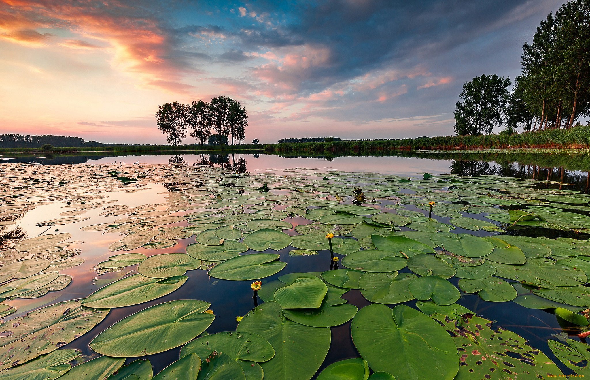 Поверхностные реки. Озеро Нонг Хан. Река из озера. Красивая природа. Реки озера моря океаны.