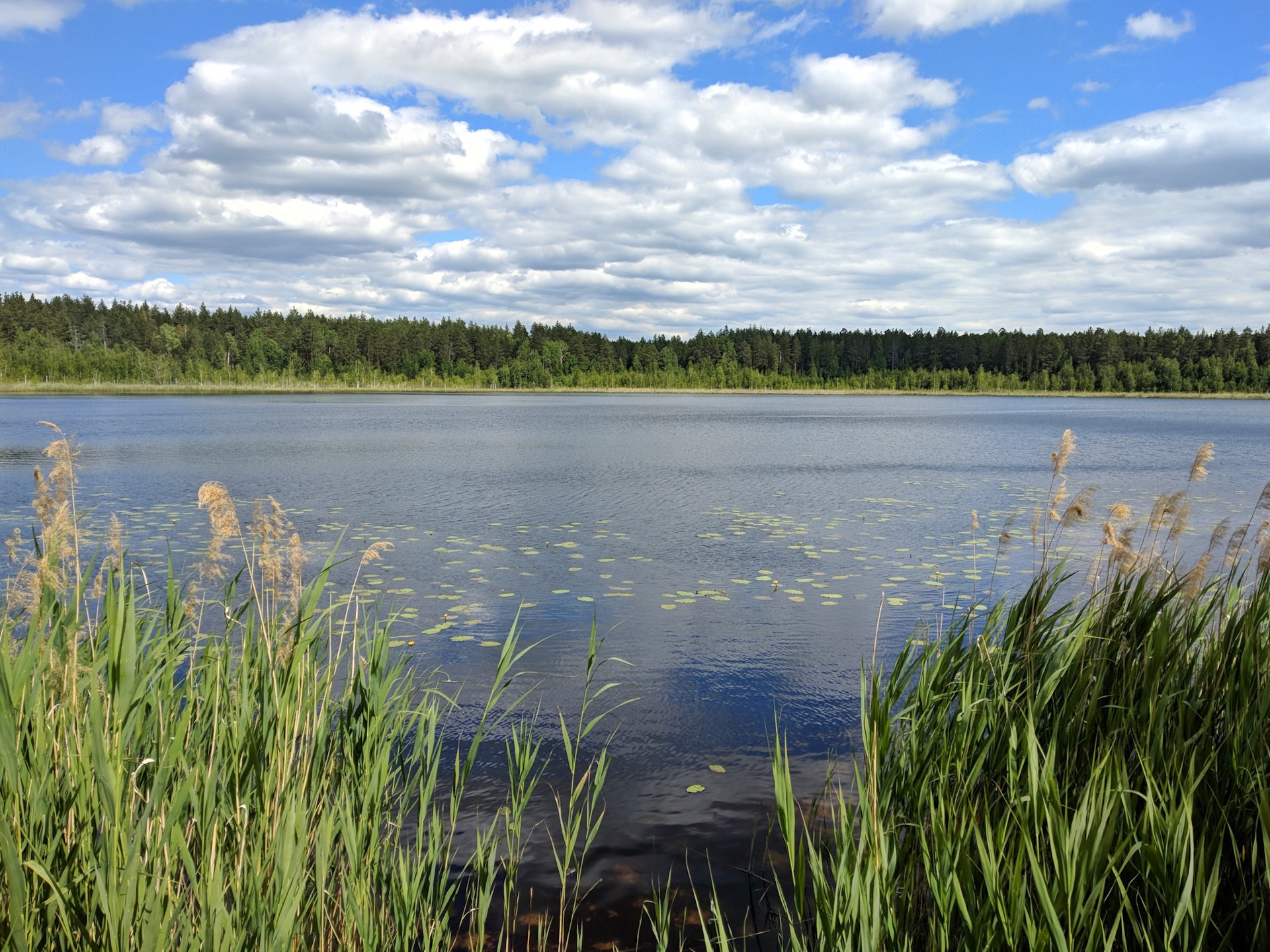 Светлое озеро заинский. Озеро светлое Североуральск. Озеро светлое Свердловская область. Озеро светлое Урай. Озеро светлое Североуральск база.