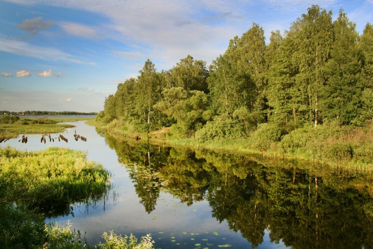 Мещерский край.