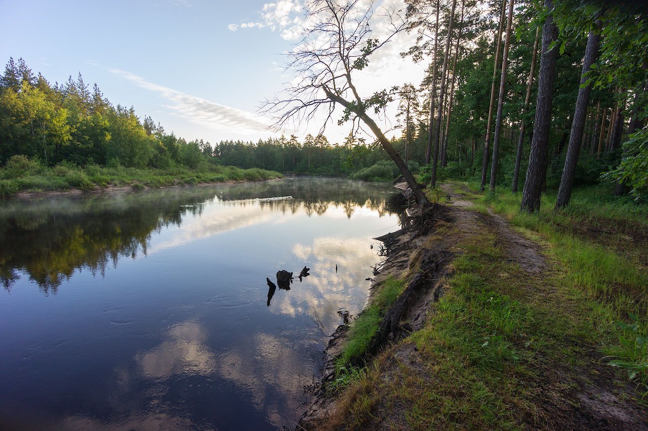 Заповедник мещера